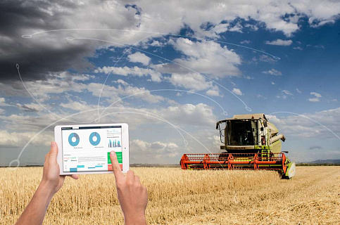 Интернет вещей в сельском хозяйстве: 5 способов повысить урожайность 